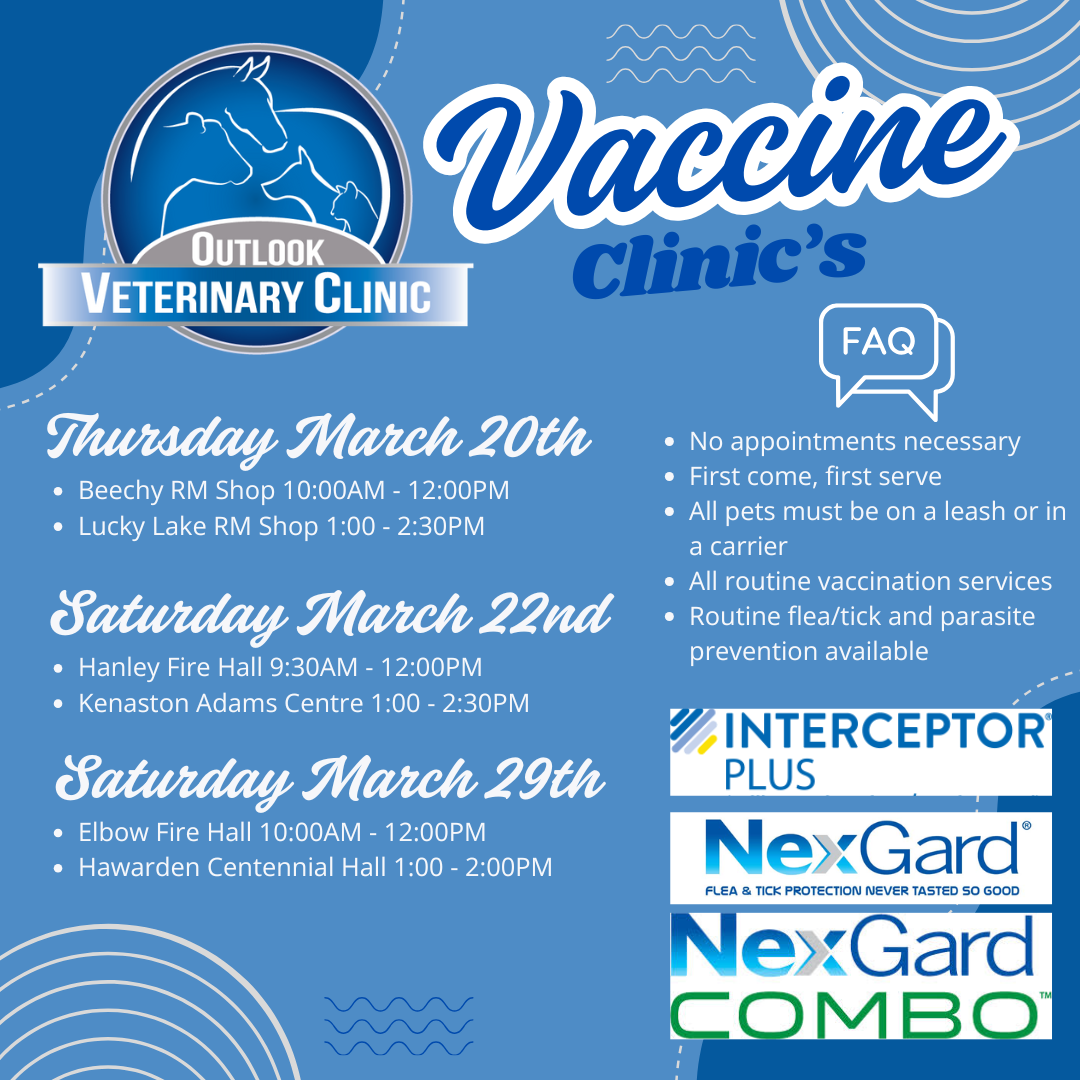 Vaccine Clinic Poster